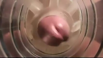 Webcam Masturbation With Sex Toy