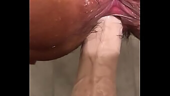 Hairy Wet Pussyfucking With Dildo