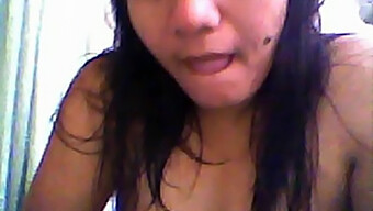 Gatas Da Webcam: Tia Malaia