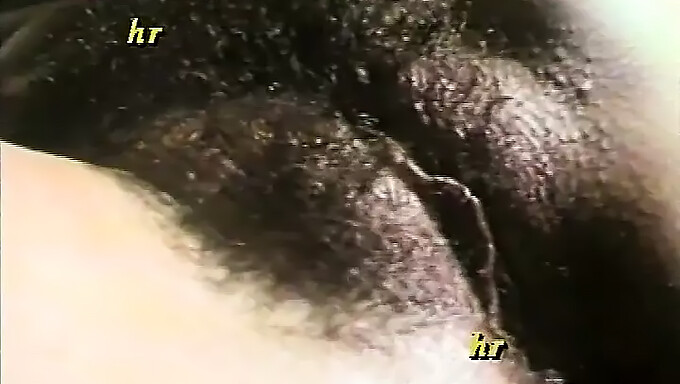 Italian Vintage Couple'S Homemade Sex On Vhs