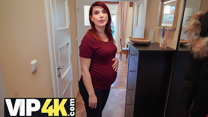 Femme Enceinte Séduite Par Un Collectionneur De Banque En Hd